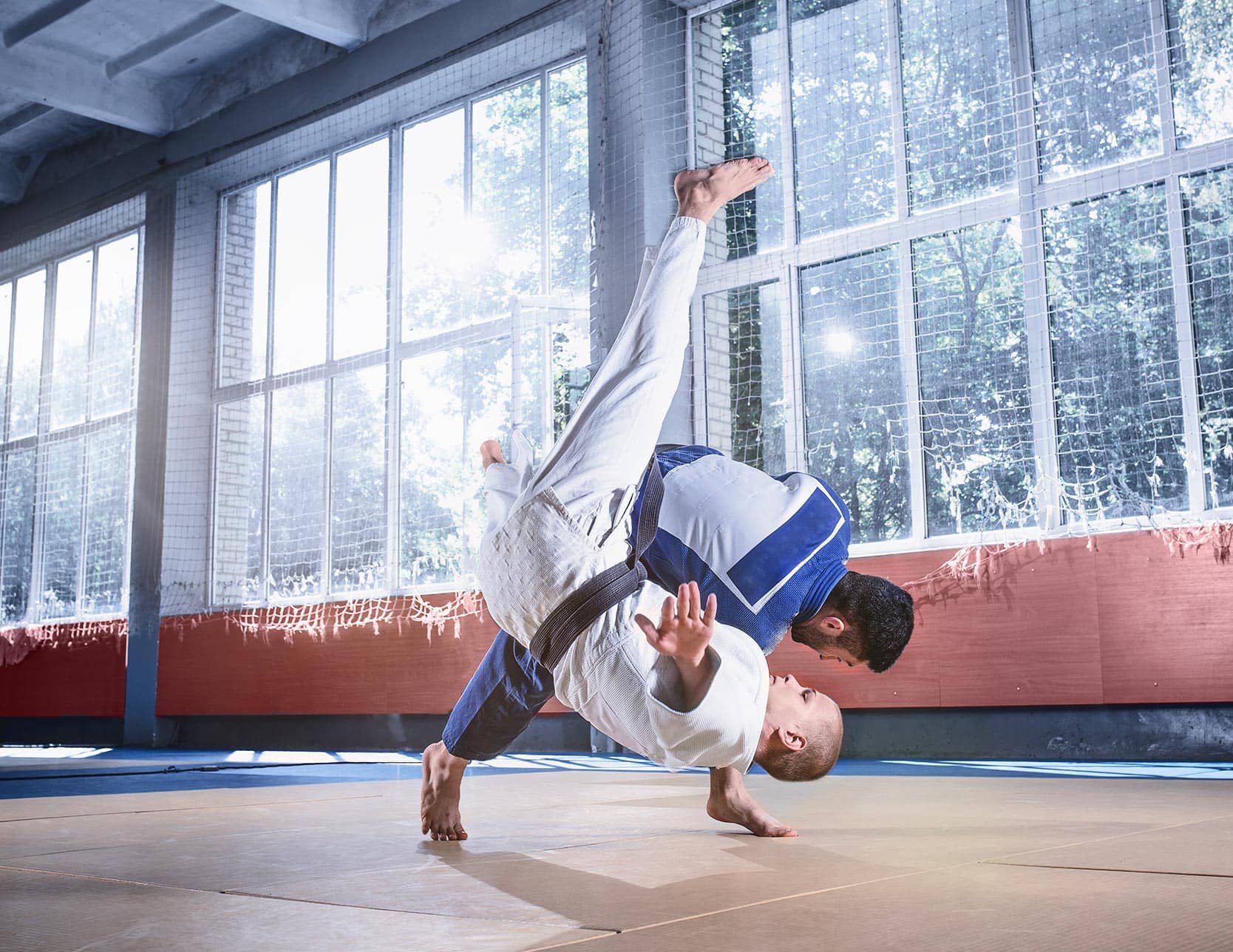 Hip replacement and martial arts: our recommendations | Paris | Inside the Hip